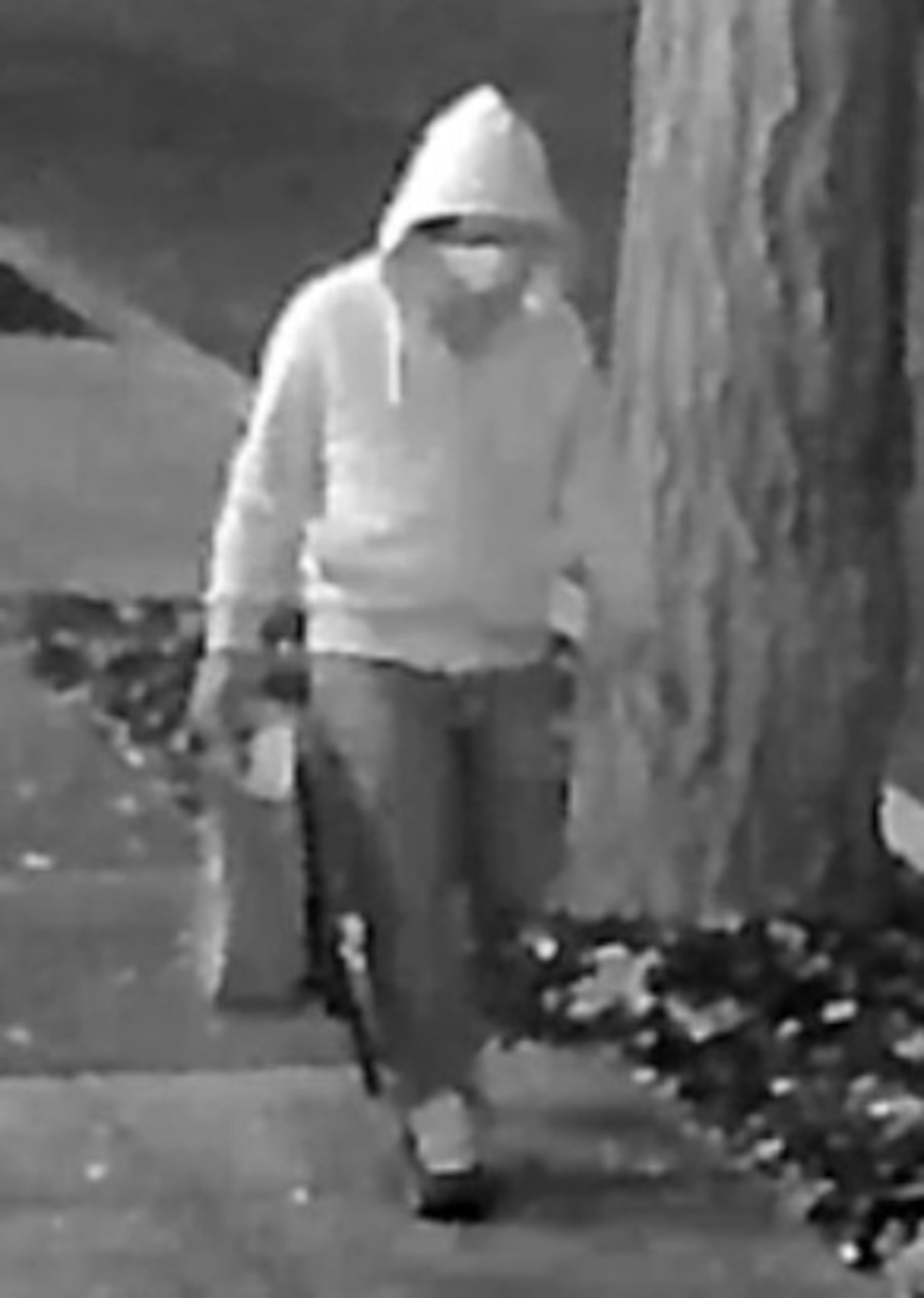 FBI Threats and Cover-ups: Rep. Massie’s Allegations in the Jan. 6 Pipe Bomb Case