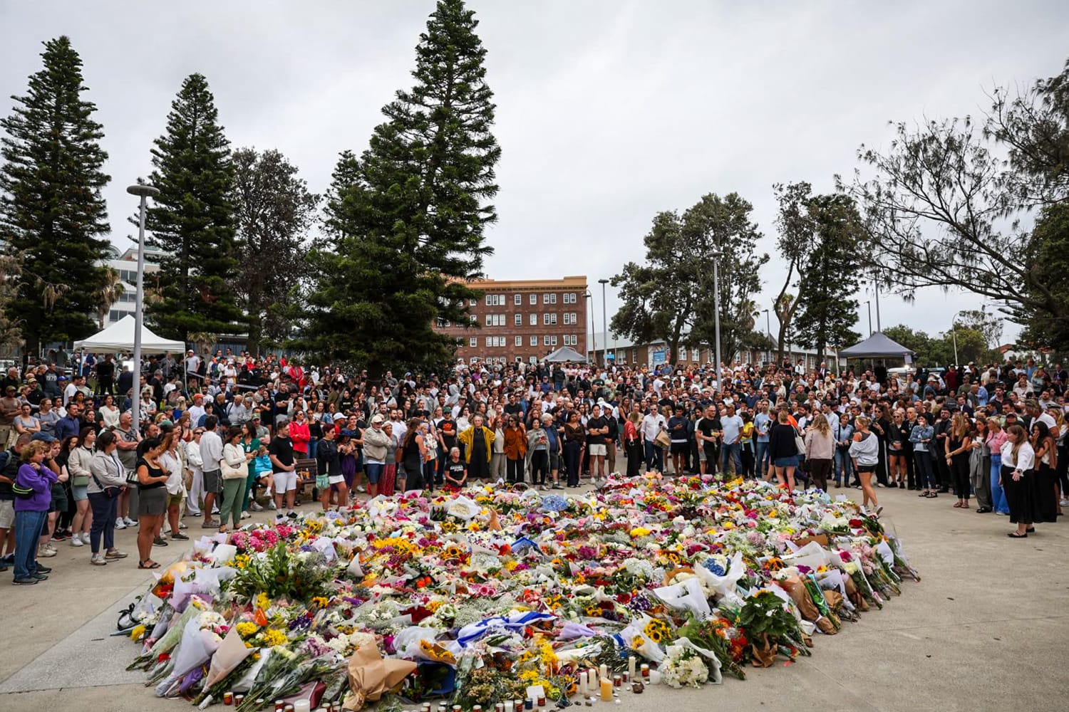 Bondi Beach Massacre Claims 15 Lives as Albanese Calls for Immediate Gun Law Reform