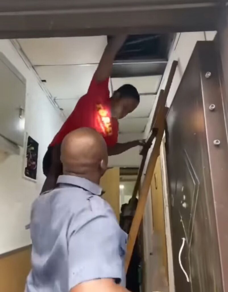 Man Crawls Through Ceiling at Vancouver Mall in Bizarre Police Incident